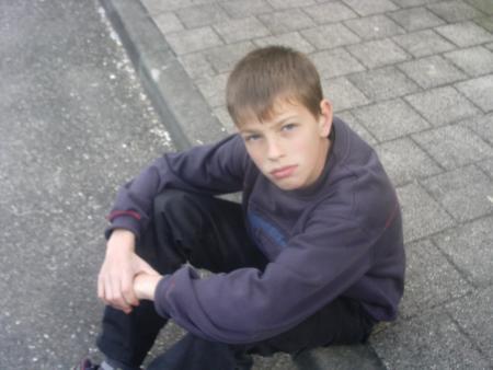 david